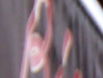 Michou