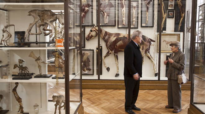 Musées des Parfumeries Fragonard
