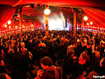 Cabaret sauvage