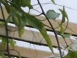 Alcove & Agapes-Bed and Breakfast in Paris