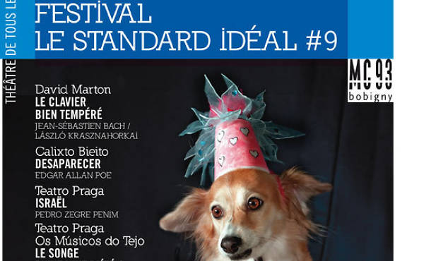 Standard idéal