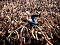 Cage the Elephant / © Nicolas Joubard