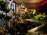 L'atelier floral © Emmanuel Chirache