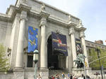 American Museum of Natural History