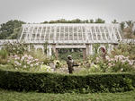 Cranford Rose Garden at the Brooklyn Botanic Garden
