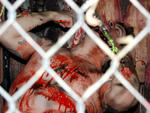 Haunted houses in New York: 