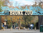 "Go to the Bronx Zoo (2300 Southern Blvd at Boston Rd; 718-220-5103, bronxzoo.com); there's a really diverse mix of people there. Or try West 4th Street, where the guys play basketball."---Louis Isaac, 46, factory worker, Bronx