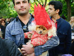 Tompkins Square Park Halloween Dog Parade, 