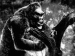 KING KONG (1933)