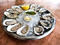 Oysters at the John Dory Oyster Bar