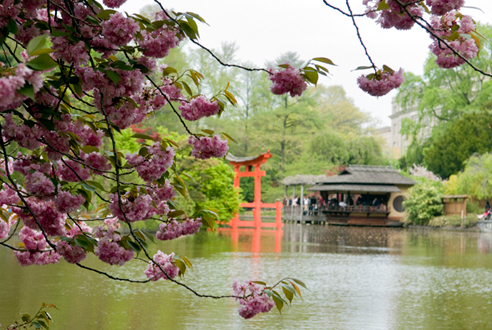 The best gardens in NYC