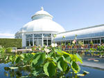 New York Botanical Garden
