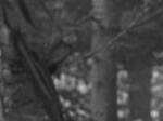 BATTLEGROUND (1949)