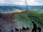 THE THIN RED LINE (1998)