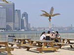 Water Taxi Beach