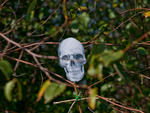 Socrates Sculpture Park's Halloween Harvest Festival