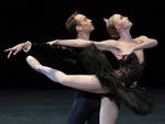 Teresa Reichlen as OdileTyler Angle as Prince SiegfriedSwan Lake act 32/17/2011New York City Ballet  Credit Photo: Paul Kolnik2011 Paul KolnikChoreography by Peter Martinsstudio@paulkolnik.comnyc 212-362-7778