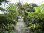 New York Botanical Garden