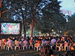 Films on the Green