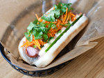 Vinh at Asiadog
