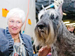 Westminster Kennel Club Dog Show