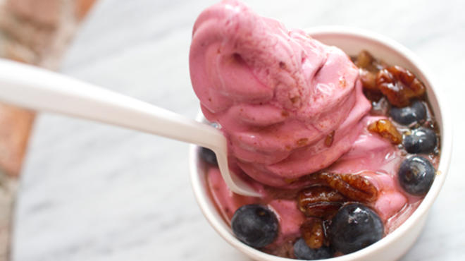 Culture: An American Yogurt Company