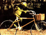 THE MUPPET MOVIE (1979)