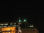 Brooklyn Borough Hall Tree