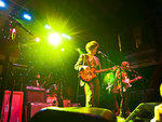 Deer Tick