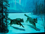 These wolves are lit from above by five overhead LEDs, which replaced  the original incandescent and fluorescent bulbs. To create the illusion  of a moonlit night, the snow underneath the wolves is darkened with  paint; this also helps conceal shadows fro