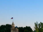 See Shakespeare in the Park
