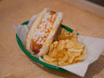 Wisconsin dog at basik