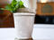The Mint Julep at Eleven Madison Park. Featured in Cutting-edge cocktail trends.
