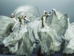 "Alexander McQueen: Savage Beauty"