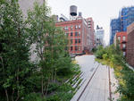 Chelsea Thicket