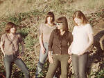 Wild Flag