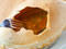 Rabbit potpie at the Dutch