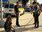 Elastic City walking tours