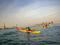 New York Kayak Company
