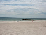 NY Surf School