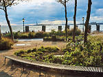 74. Commune with nature in Battery Park