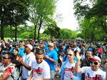 101 things to do in the spring in New York City 2013: Join the AIDS Walk New York 