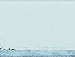 FIVE DEDICATED TO OZU (2003)