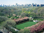 Photograph: Central Park Conservancy