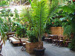The Delancey