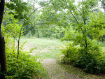 Great Hill