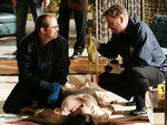 CSI (2000--present)