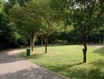 Alley Pond Park