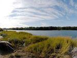 Pelham Bay Park