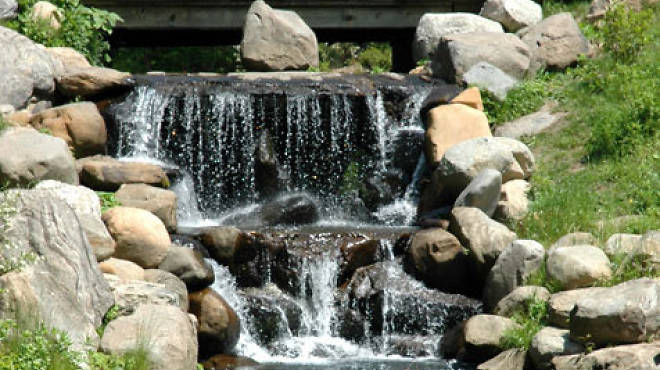Waterfall and Midwood Trails in Prospect Park